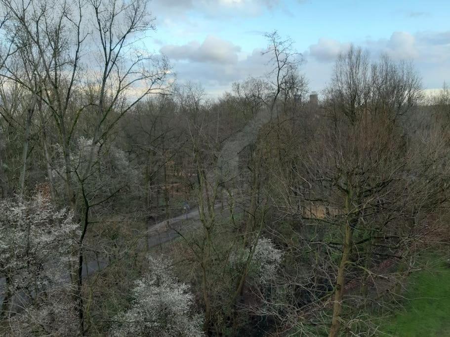 Zentral Und Doch Natur Köln Eksteriør bilde