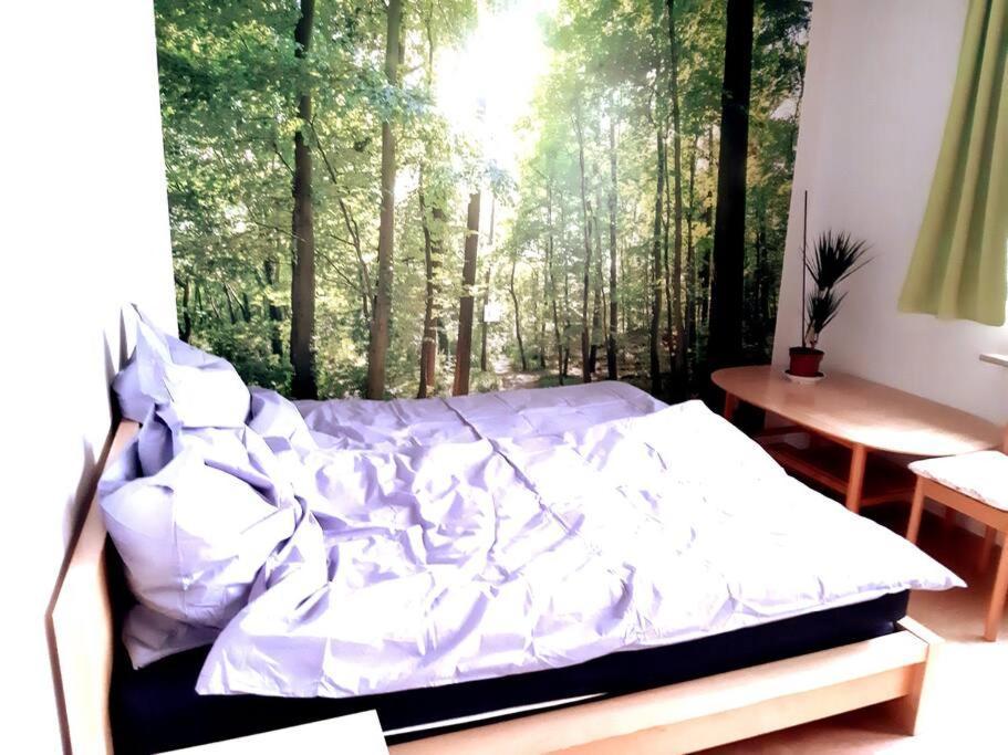 Zentral Und Doch Natur Köln Eksteriør bilde
